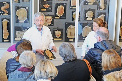 Stippvisite Moulagensammlung